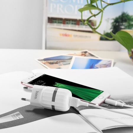 Комплект зарядки Micro USB Hoco C41A, 2 USB, 2.4А