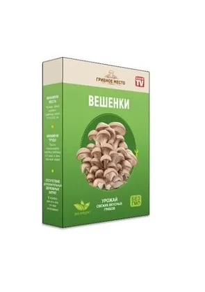 Домашняя грибная ферма Mushrooms Farm Вешенки