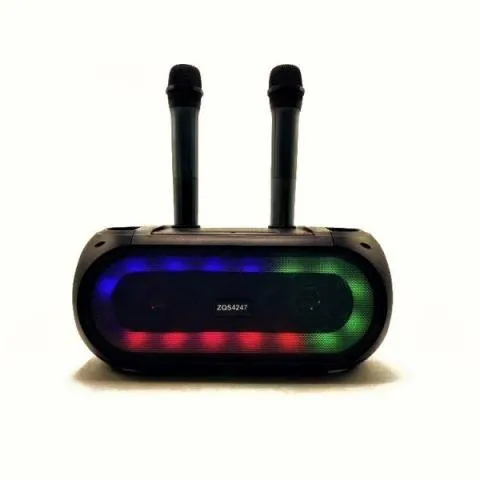 Портативная колонка с двумя беспроводными микрофонами и светомузыкой ZQS 4247